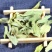 正品新疆罗布麻叶正宗罗布麻罗卜麻草药中药材批发零售