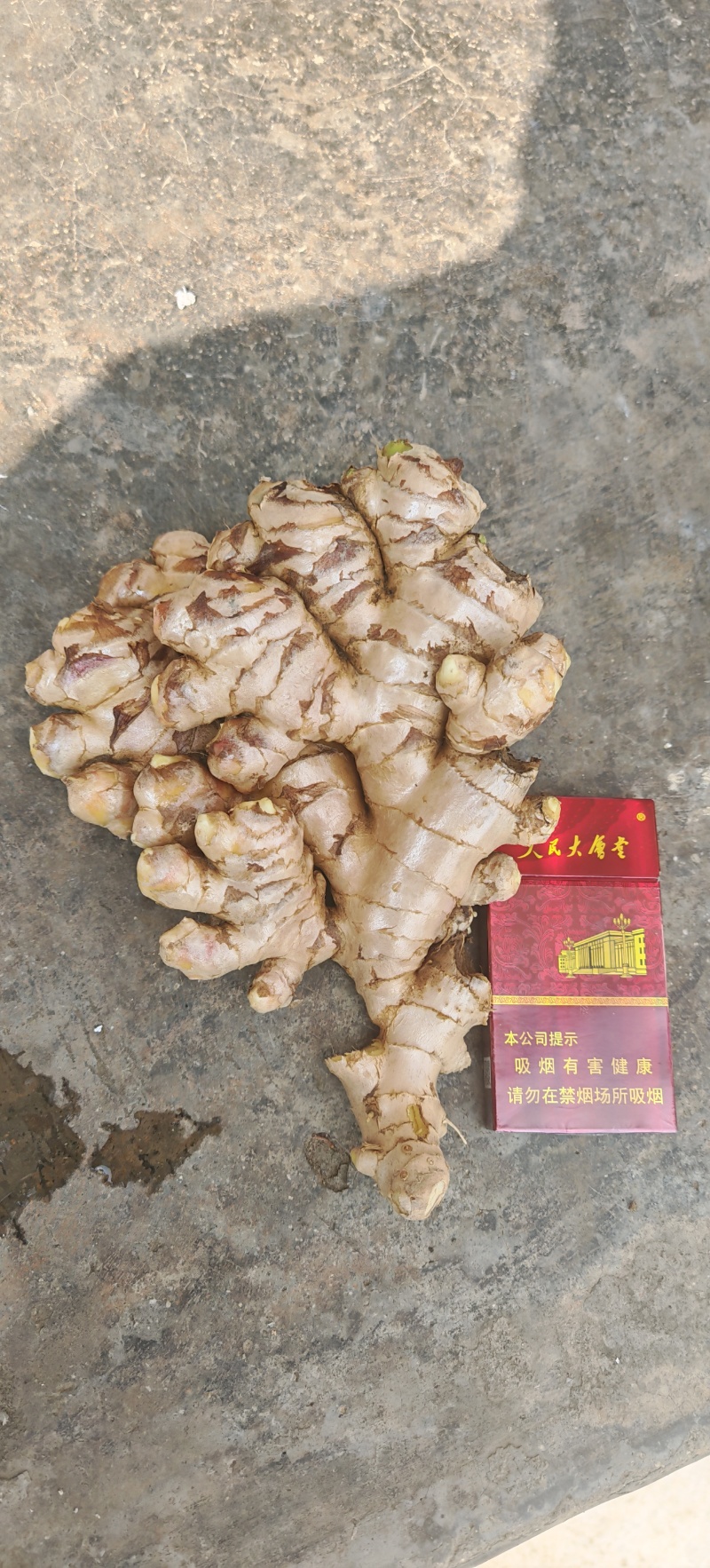 生姜。。现挖