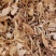 山东菏泽一手货源当归质量好价格优对接全国市场欢迎购买