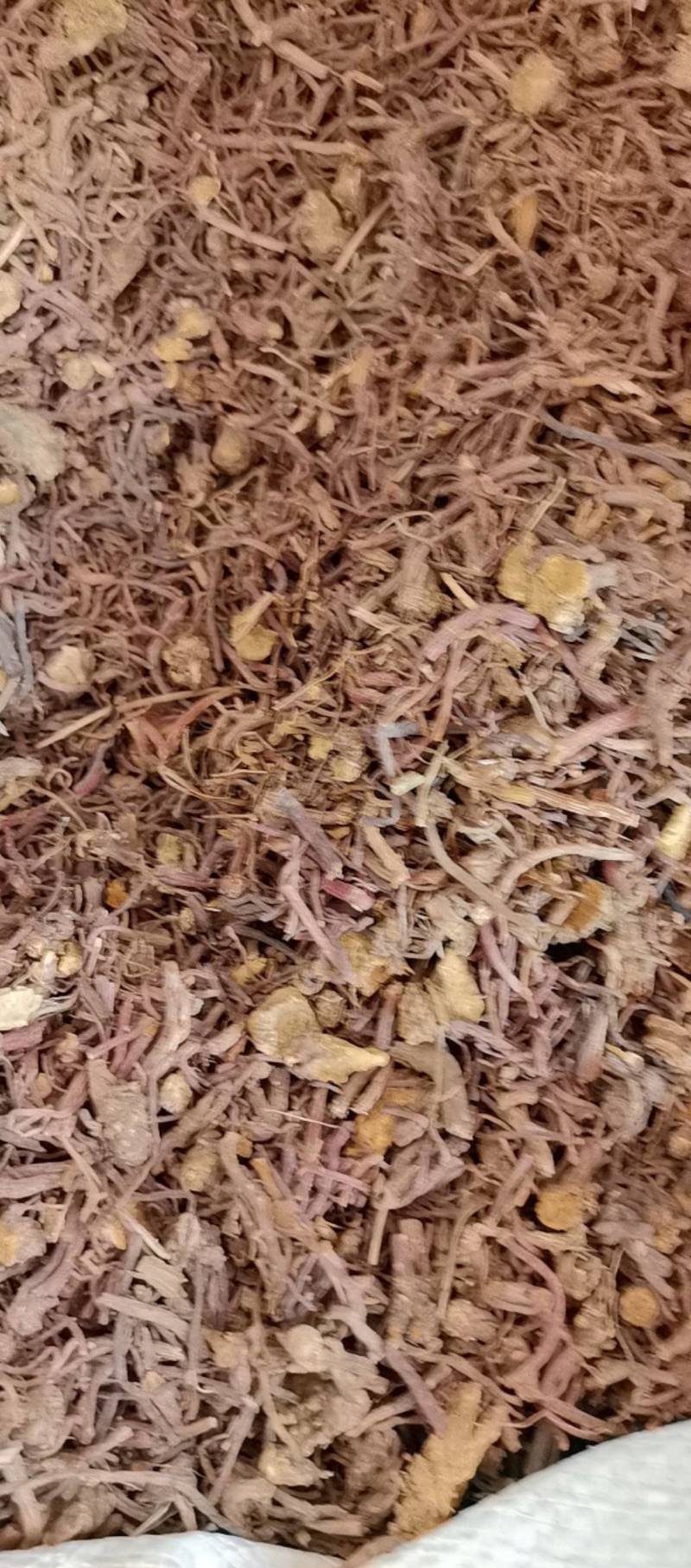 山东菏泽一手货源紫苑质量好价格优对接全国市场欢迎购买