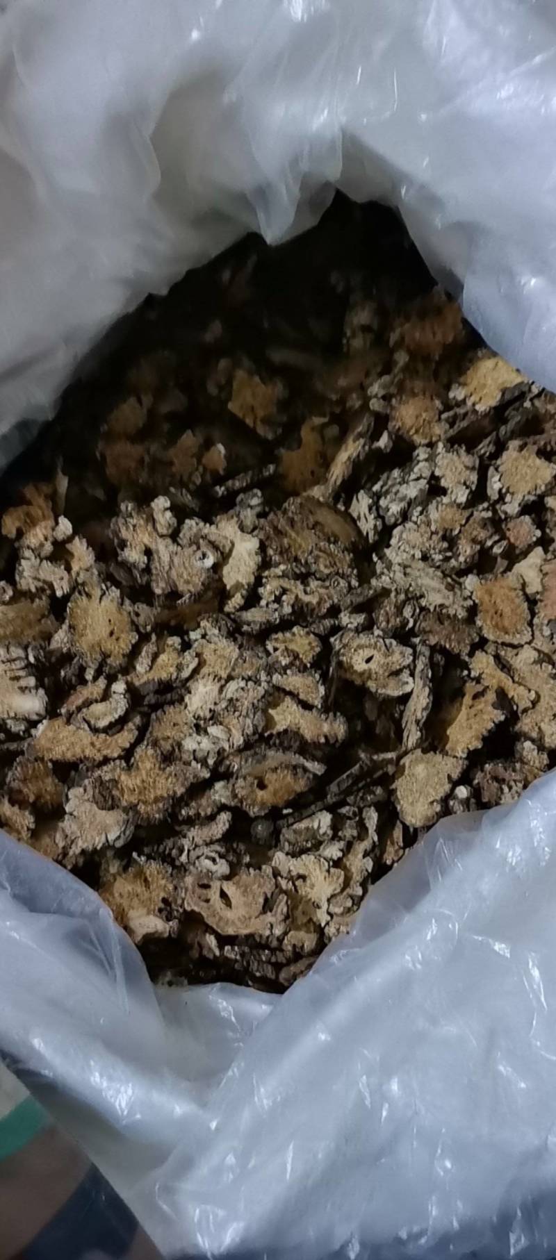 山东菏泽一手货源川芎质量好价格优对接全国市场欢迎采购