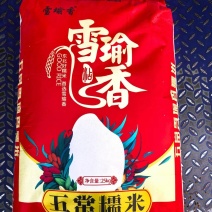 雪瑜香圆江米白糯米产地直供货源充足价格优惠可视频看货