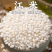 雪瑜香圆江米白糯米产地直供货源充足价格优惠可视频看货