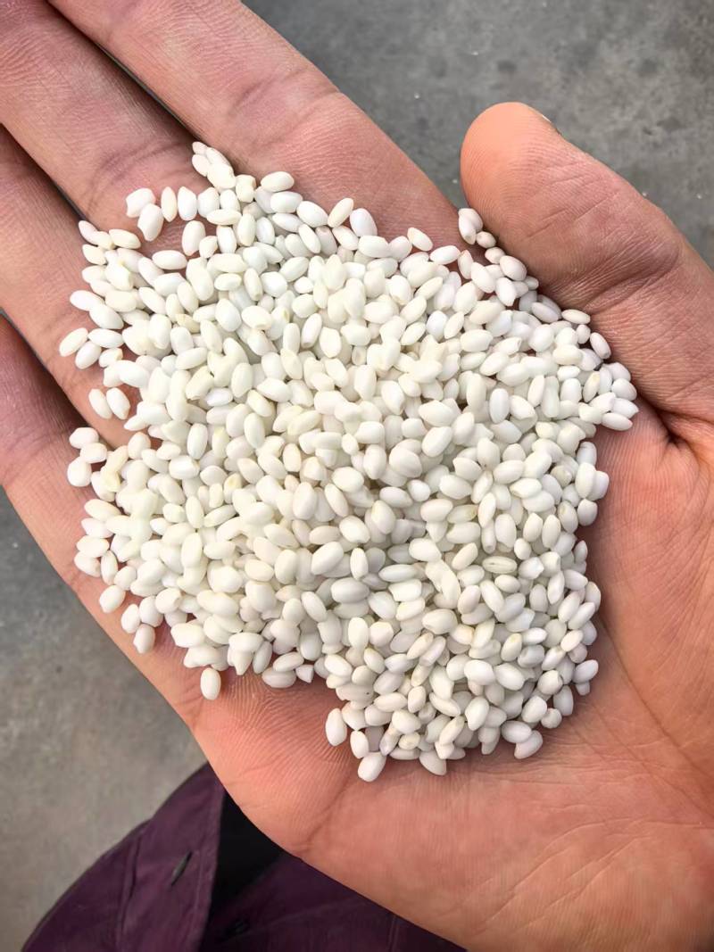 雪瑜香圆江米白糯米产地直供货源充足价格优惠可视频看货