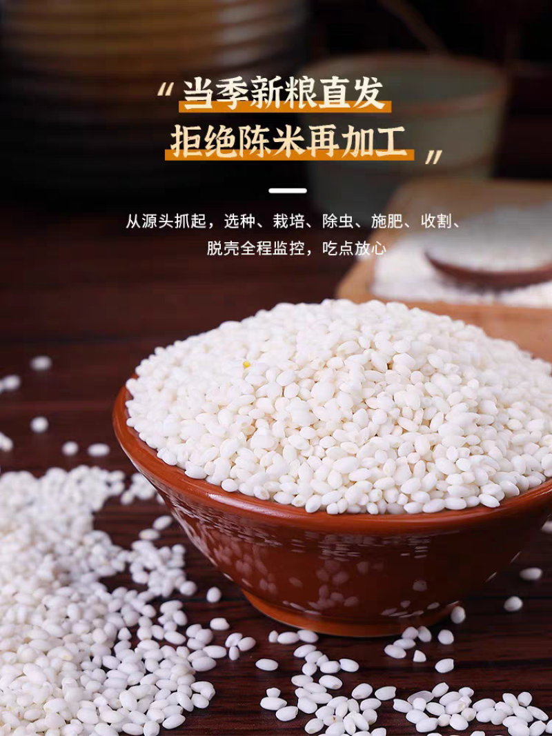 雪瑜香圆江米白糯米产地直供货源充足价格优惠可视频看货