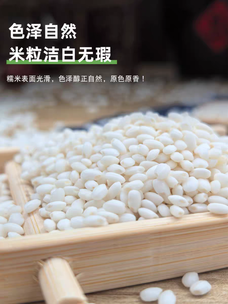 雪瑜香圆江米白糯米产地直供货源充足价格优惠可视频看货