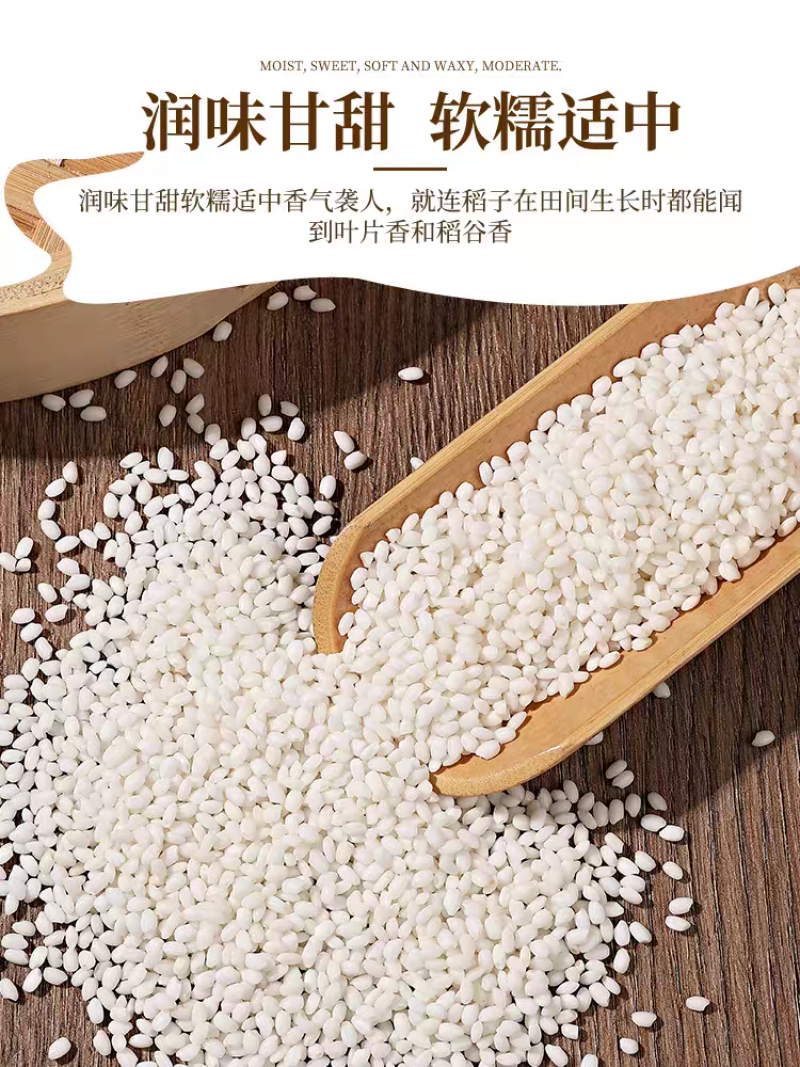 雪瑜香圆江米白糯米产地直供货源充足价格优惠可视频看货