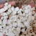 山东菏泽一手货源茯苓质量好价格优对接全国市场欢迎采购