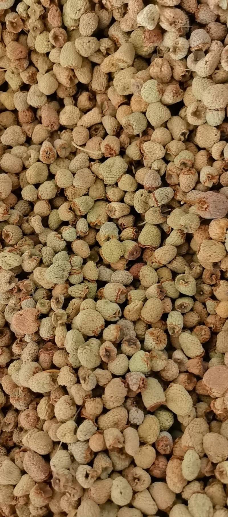 山东菏泽一手货源覆盆子质量好价格优对接全国市场欢迎采购