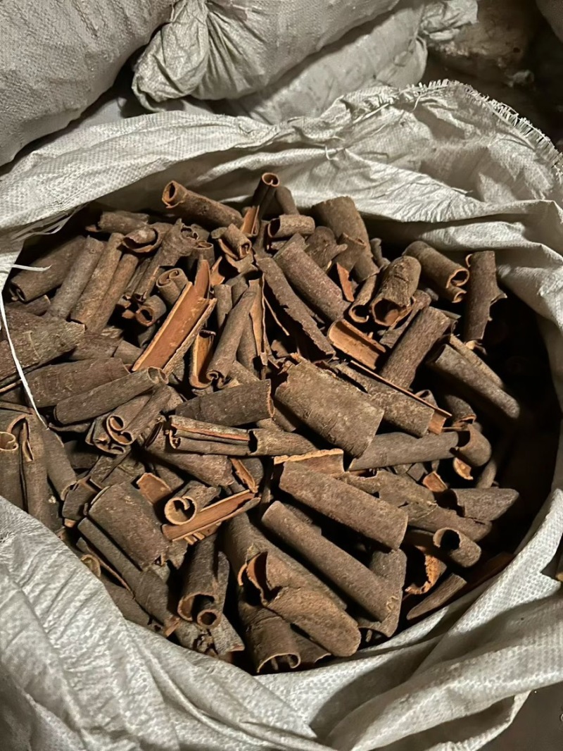 桂段碎，过筛没有粉末