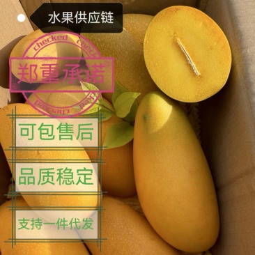 金煌芒.，海南一件代发，集采，私域。