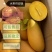 金煌芒.，海南一件代发，集采，私域。