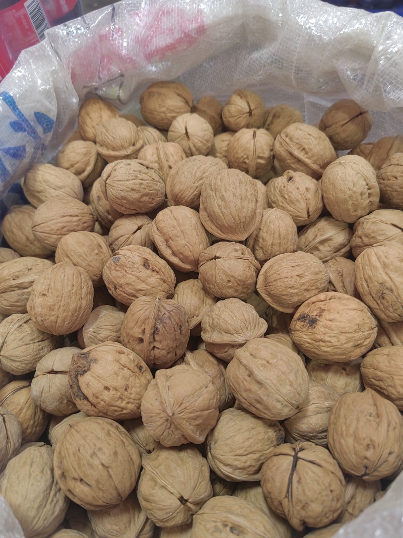 商洛特产野生核桃