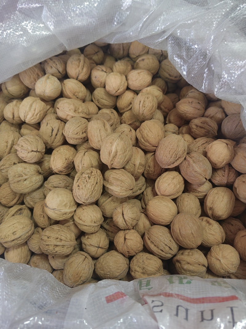 商洛特产野生核桃
