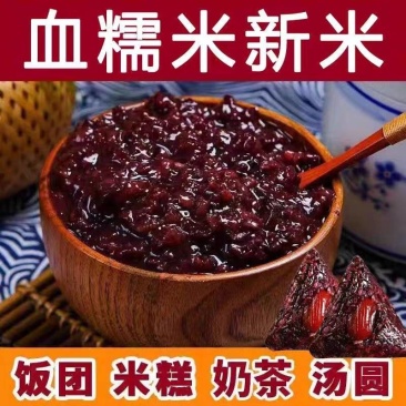 血糯米紫米货源充足产地直供价格优惠欢迎致电咨询