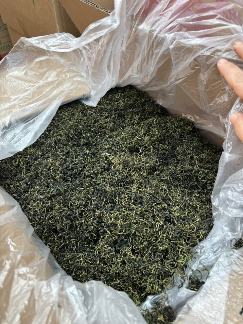 2026新货蒲公英茶水洗蒲公英茶大货批发