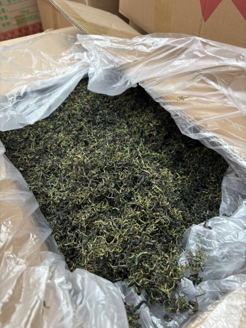 2026新货蒲公英茶水洗蒲公英茶大货批发