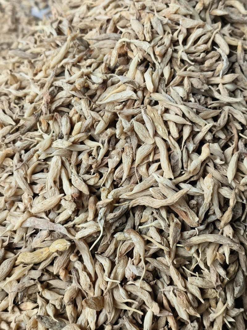 麦冬，野麦冬，干货上新季