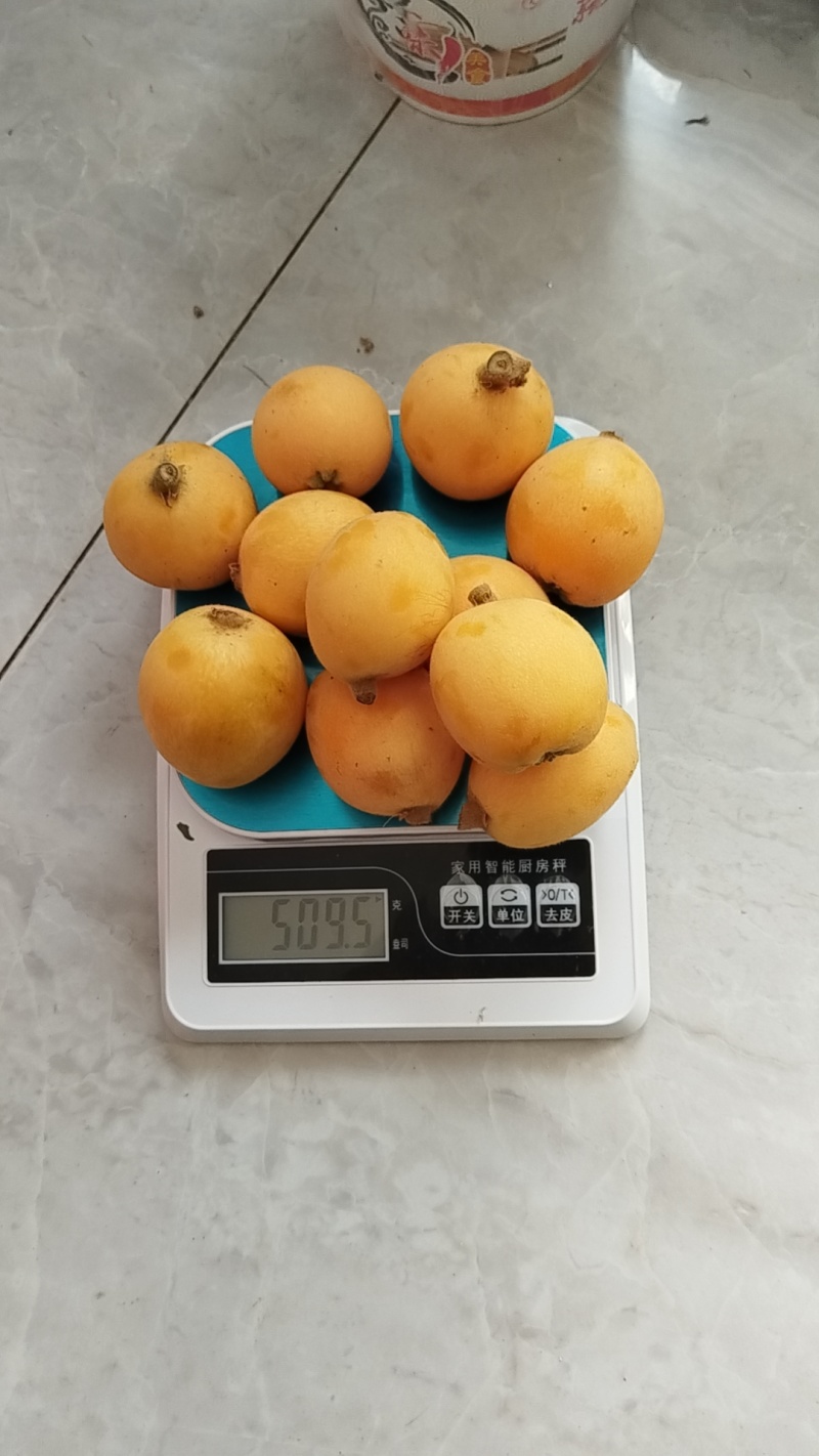 自然成熟的枇杷