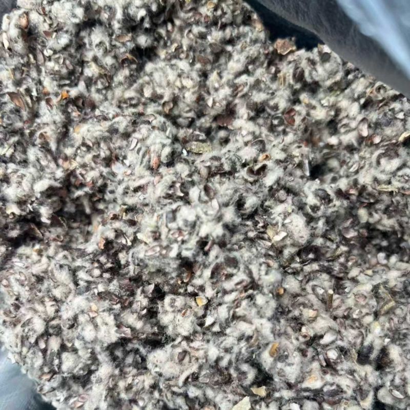 棉籽壳