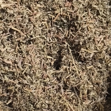 老鹳草
