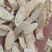 1.甘肃无硫黄芪片大片北芪中药材干货