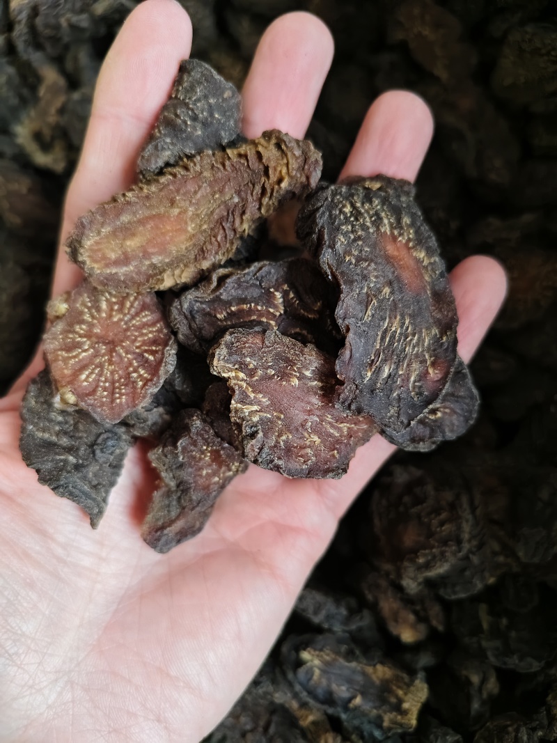 肉苁蓉鲜干片肉苁蓉切片规格齐全批发零售量大从优