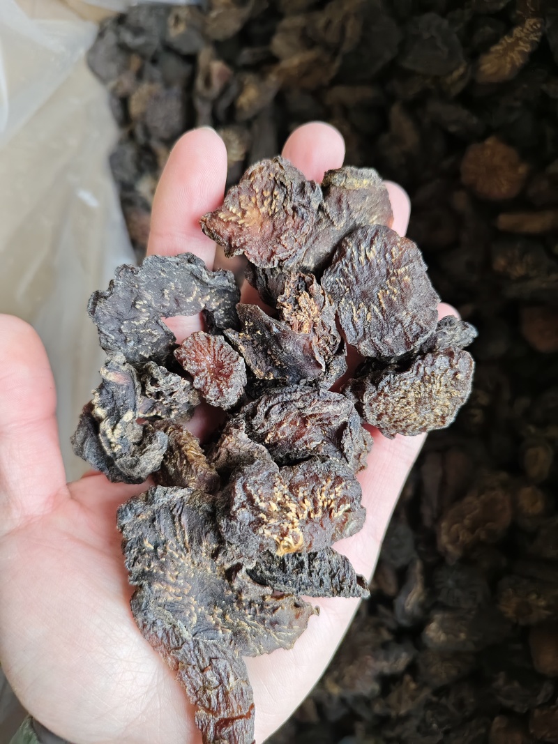 肉苁蓉鲜干片肉苁蓉切片规格齐全批发零售量大从优