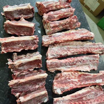 甘肃多肉羊蝎子/量大从优/工厂直发/欢迎下单
