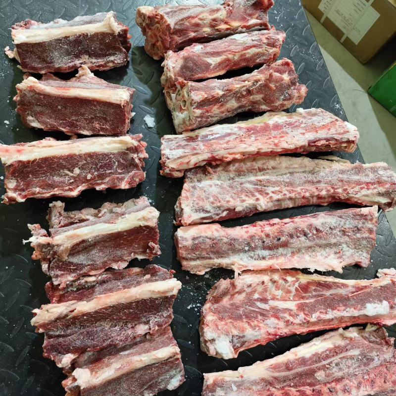 甘肃多肉羊蝎子/量大从优/工厂直发/欢迎下单