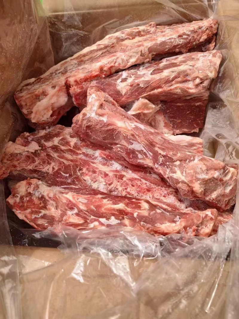 甘肃多肉羊蝎子/量大从优/工厂直发/欢迎下单