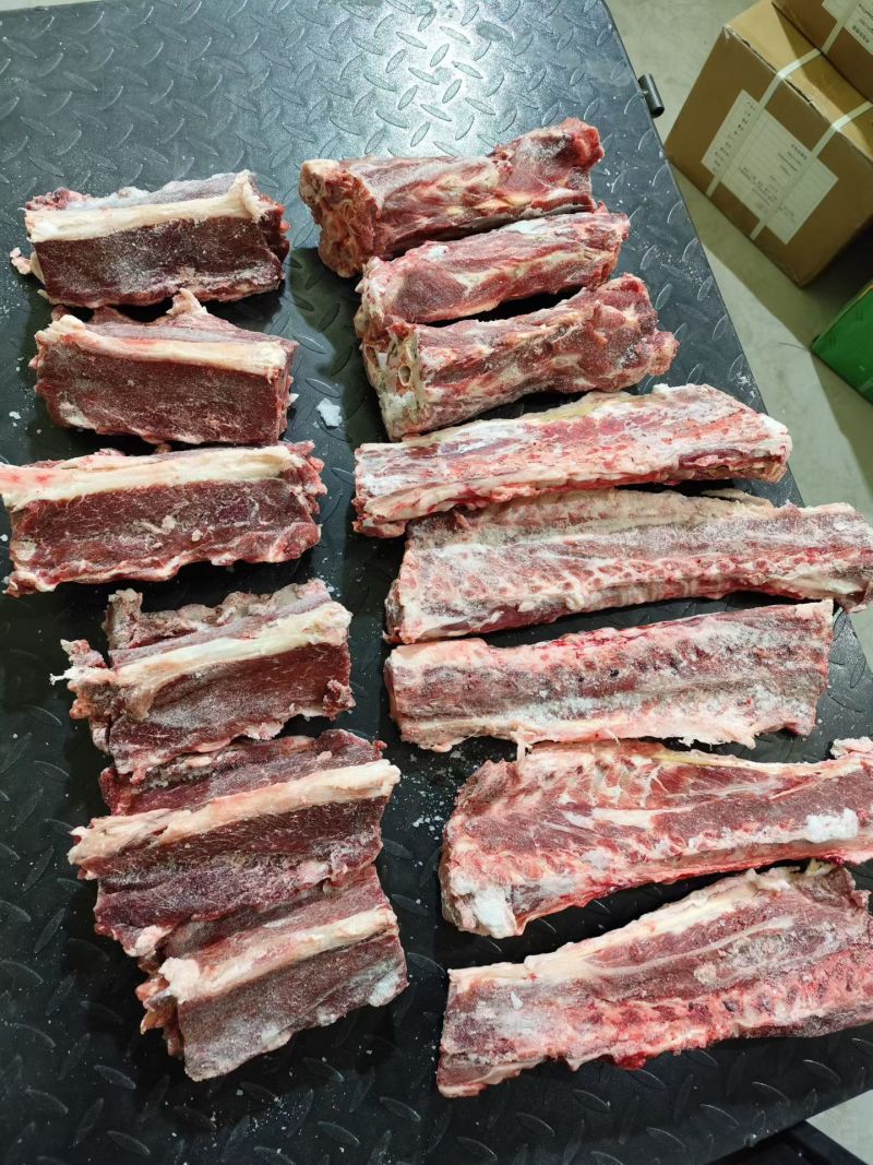 甘肃多肉羊蝎子/量大从优/工厂直发/欢迎下单