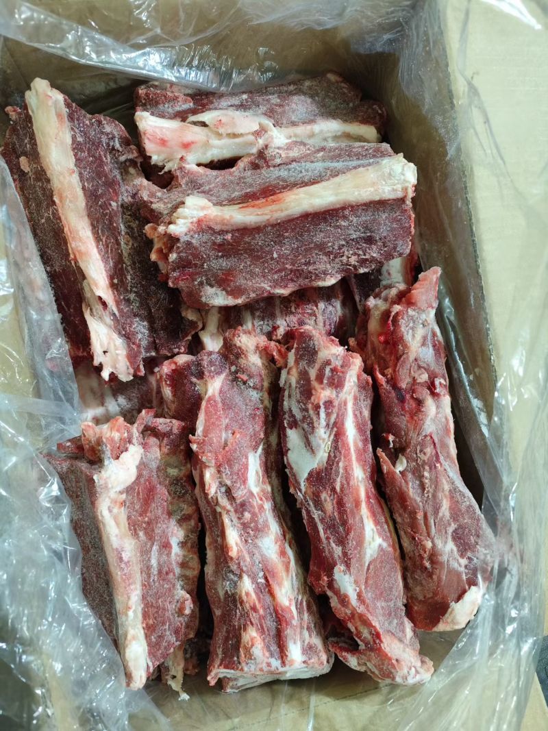 甘肃多肉羊蝎子/量大从优/工厂直发/欢迎下单