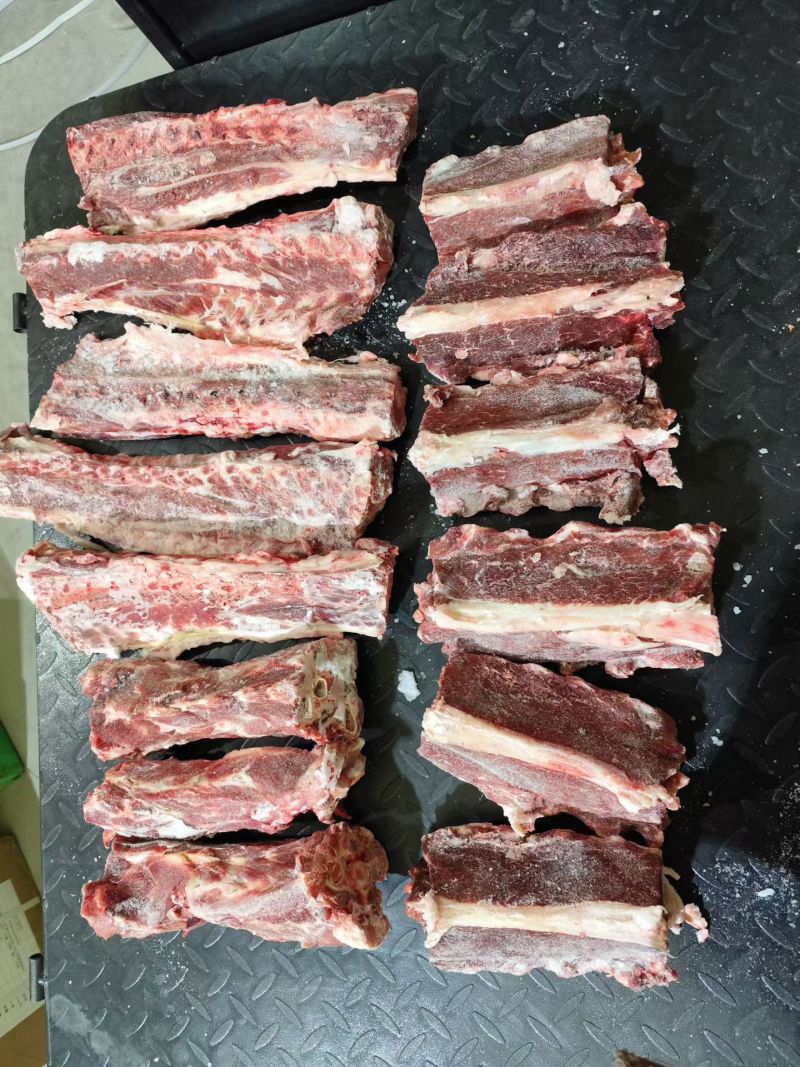甘肃多肉羊蝎子/量大从优/工厂直发/欢迎下单