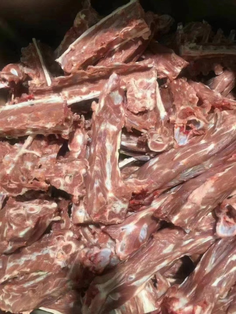 甘肃多肉羊蝎子/量大从优/工厂直发/欢迎下单