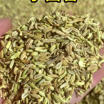 自己开店用的小茴香***********
