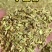 自己开店用的小茴香***********