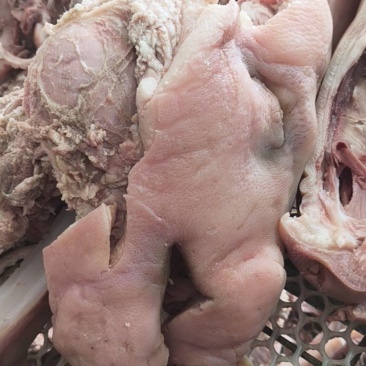 半成品猪头肉