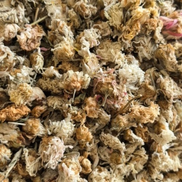 菊花河北菊花颜色好花朵好规格齐全，尽在聚源中药