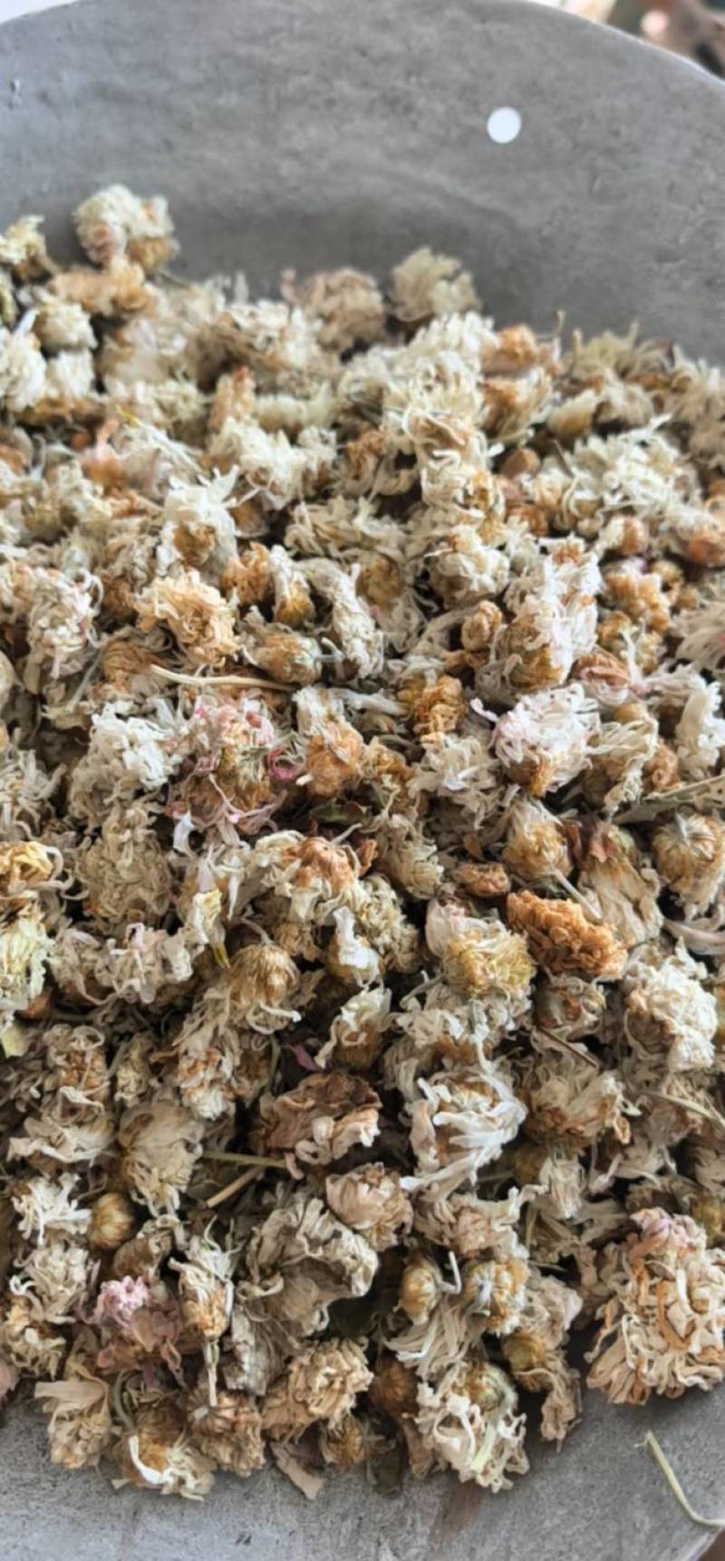 菊花河北菊花颜色好花朵好规格齐全，尽在聚源中药