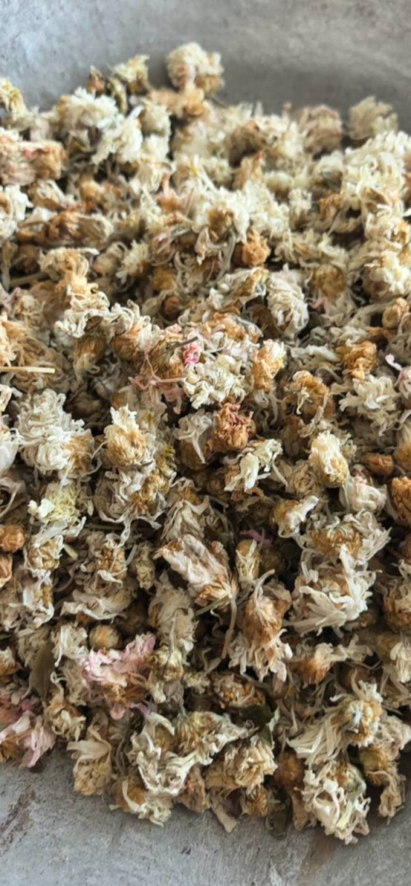 菊花河北菊花颜色好花朵好规格齐全，尽在聚源中药