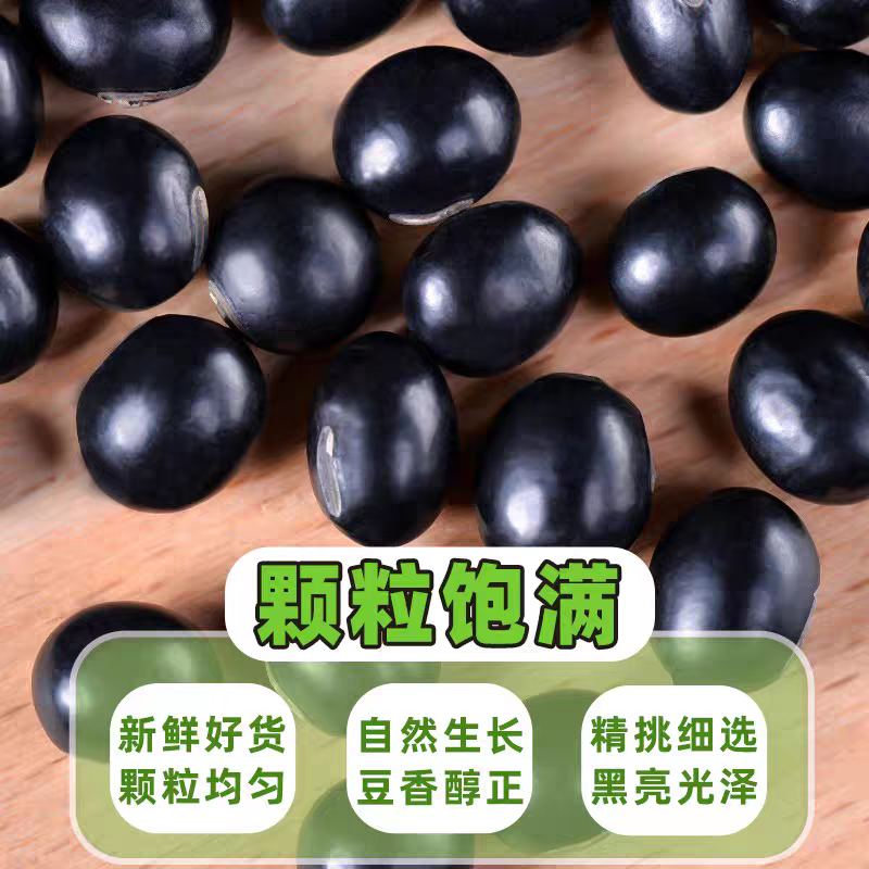 【优选】黑豆品种齐全产地直供货源充足全国代发可视频看货