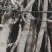 鱼藤大量供应，有实力企业请联系