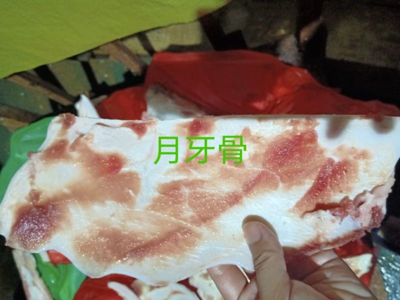 月牙骨