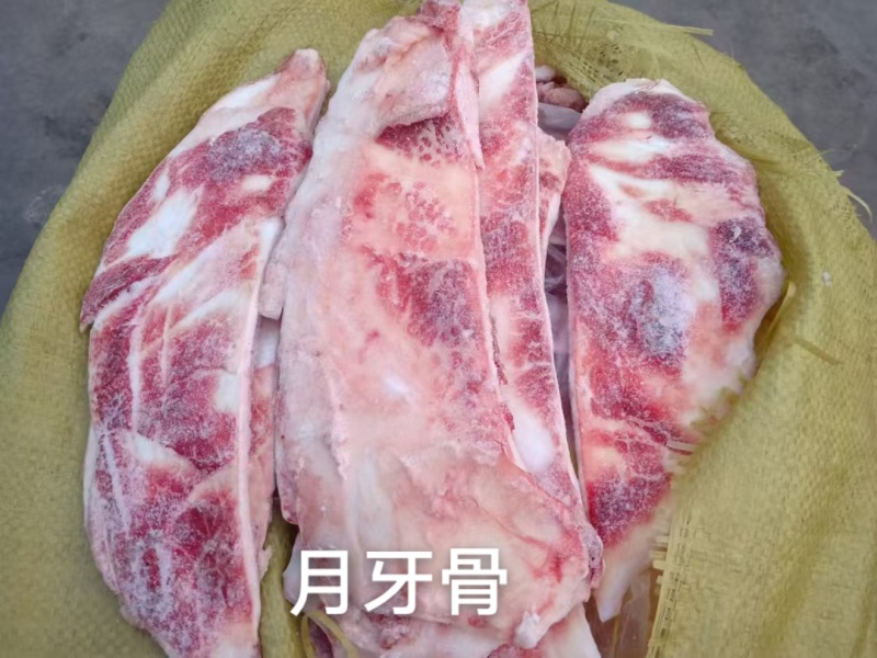 月牙骨