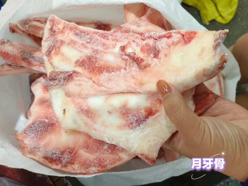 月牙骨