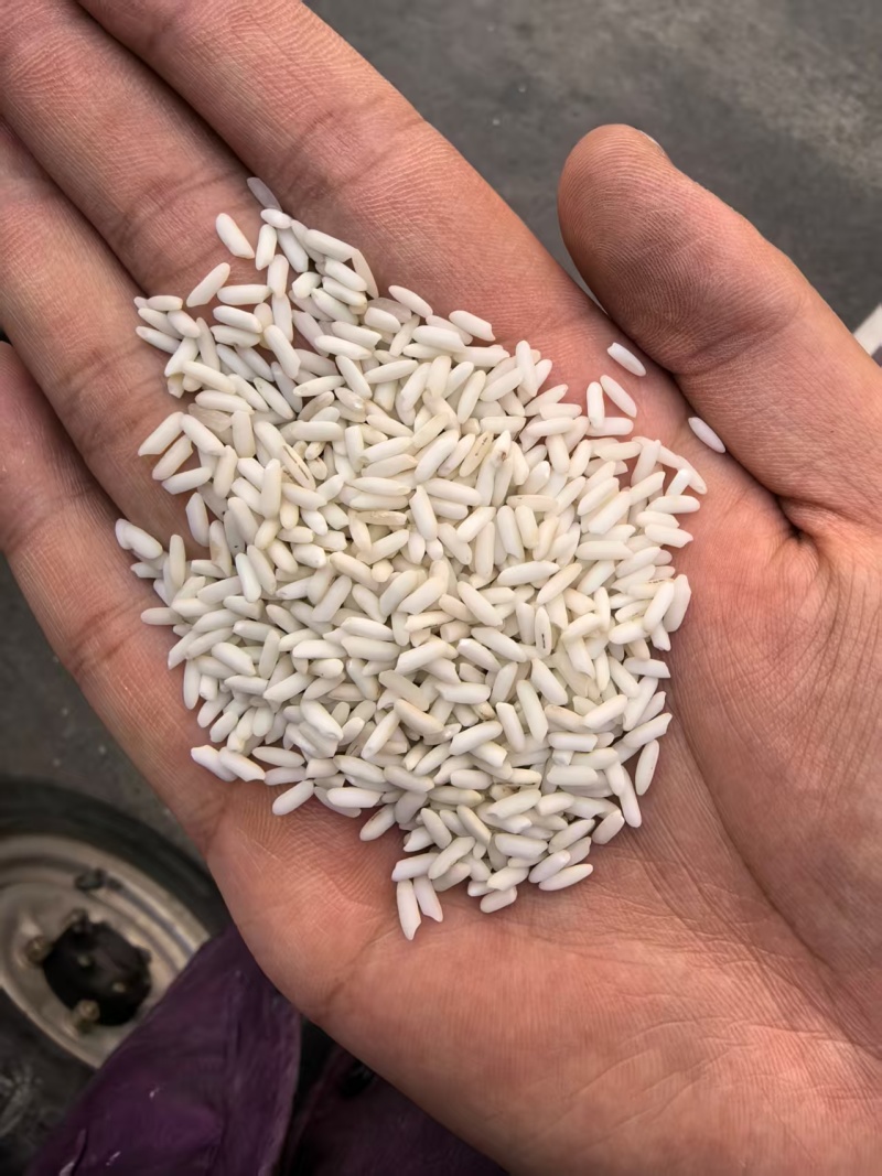 精品荞麦仁品种齐全产地直供货源充足可视频看货