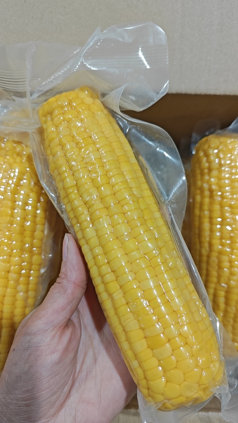 水果玉米可批量采购可代发承接抖音快手淘宝电商平台代发