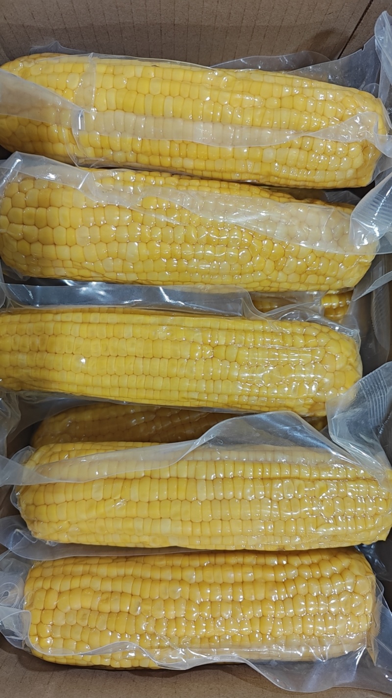 水果玉米可批量采购可代发承接抖音快手淘宝电商平台代发