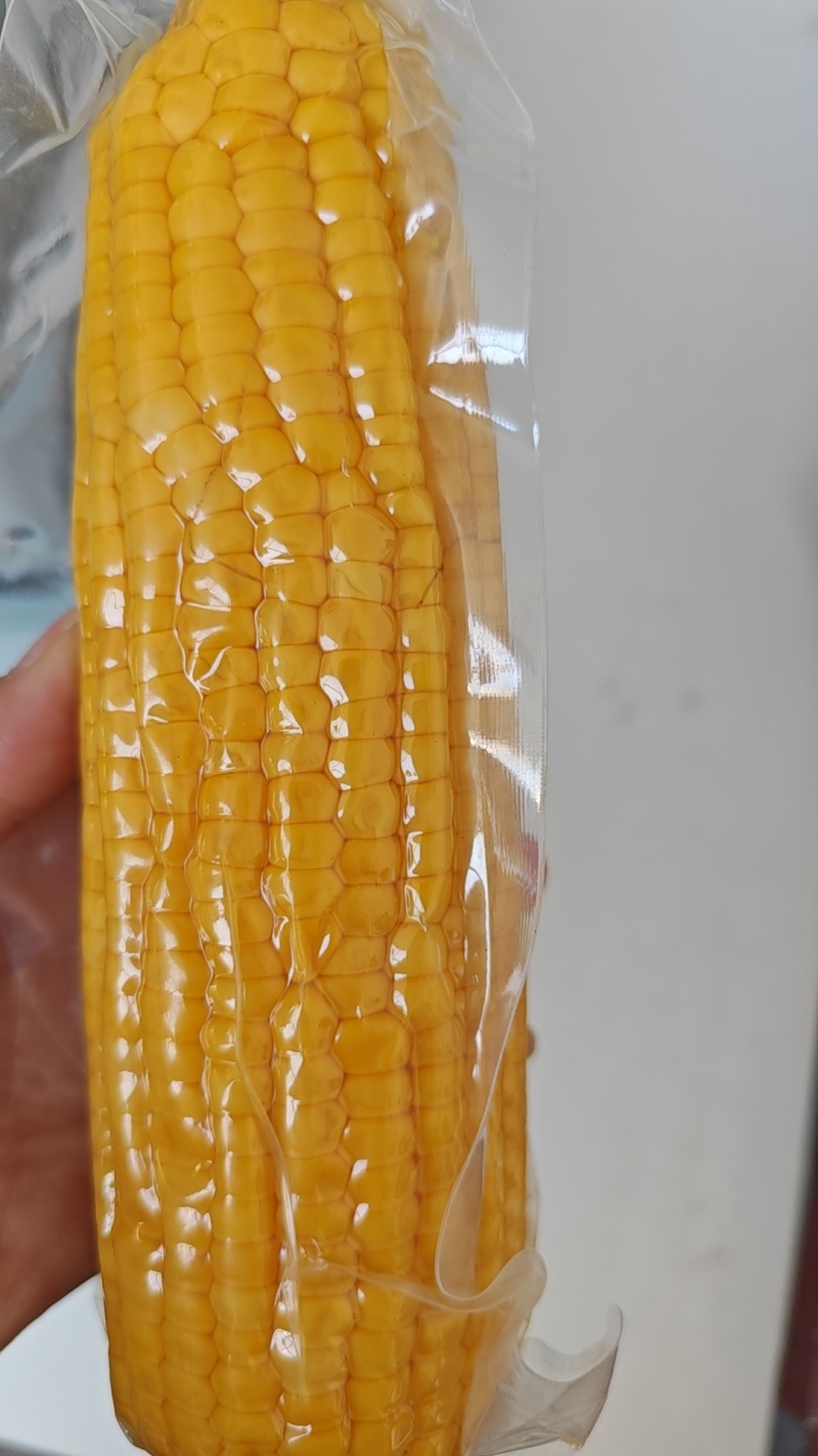 水果玉米可批量采购可代发承接抖音快手淘宝电商平台代发